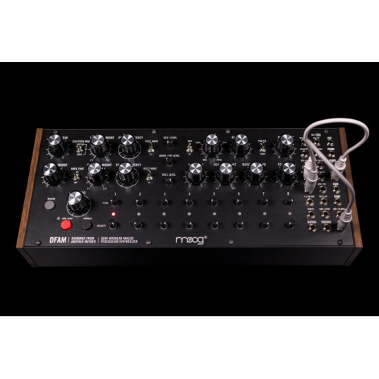 Moog DFAM